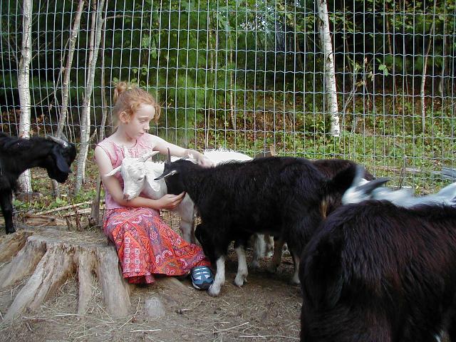 Ivy and Goats